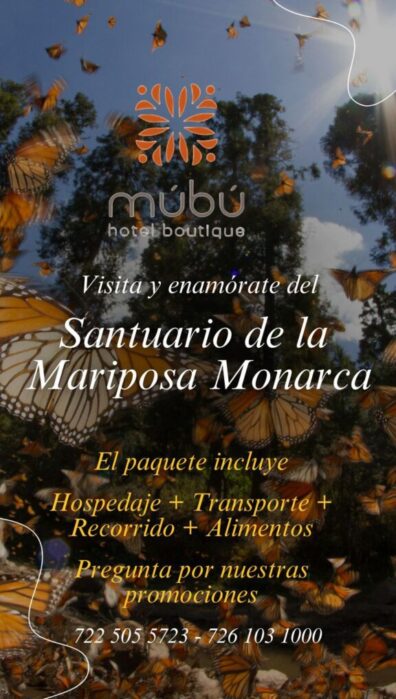 WhatsApp Image 2025-11-13 at 8.39.54 PM